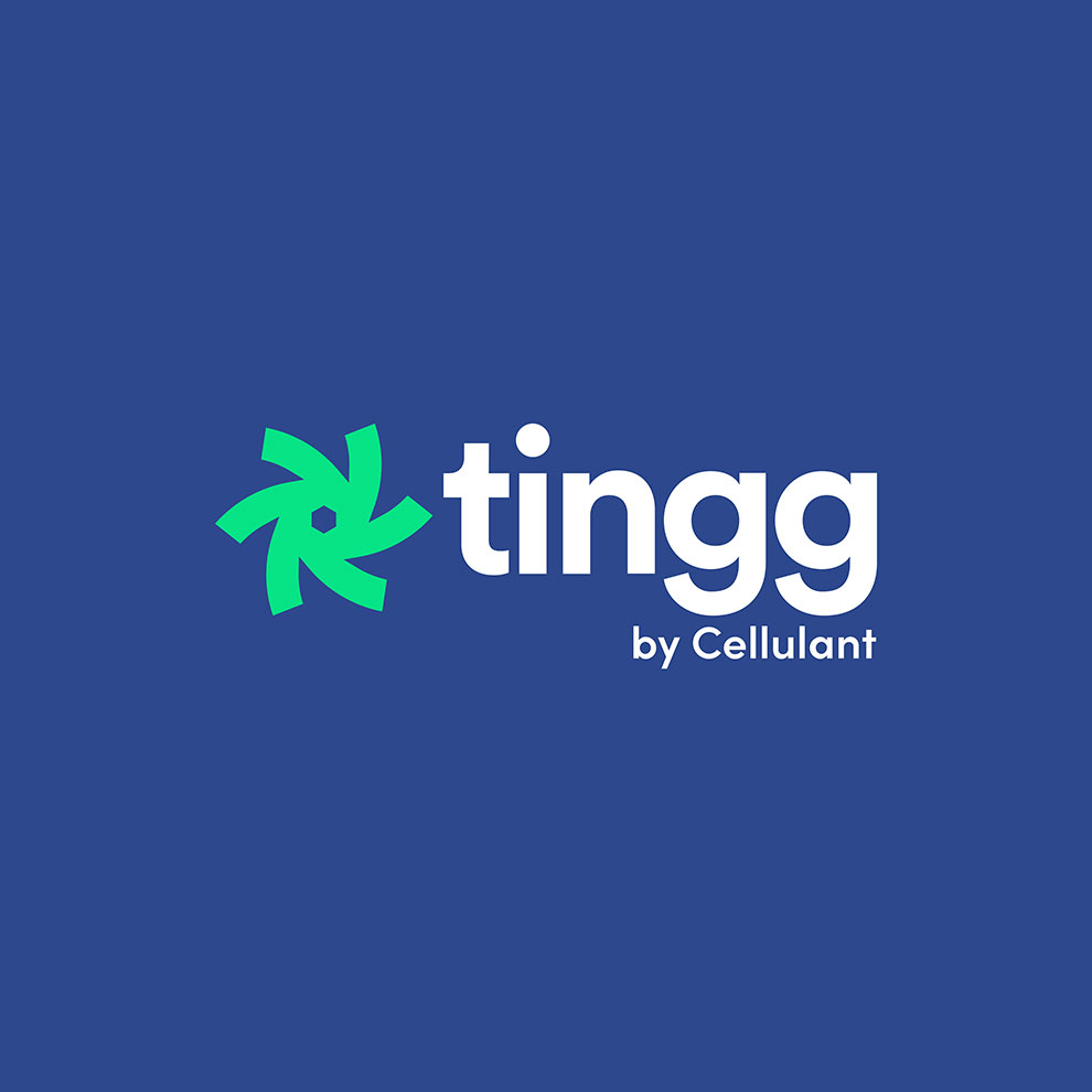 Tingg Logo